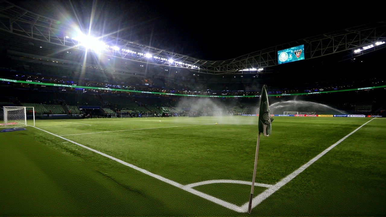 Por que isso importa?